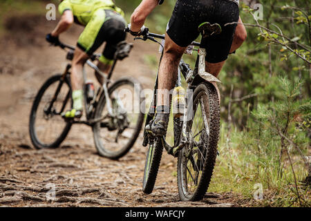 back two cyclists on mountain bike riding uphill in roots of trees Stock Photo