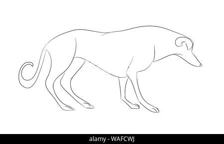 dog stands lines, vector, white background, dog stands Stock Vector