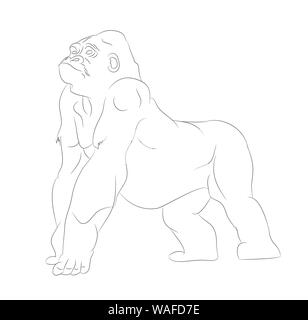 vector illustration of a gorilla, drawing by lines, vector, white background Stock Vector