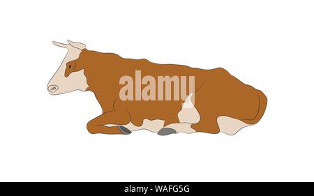 Vector illustration of a cow that lies, drawing color, vector, white background Stock Vector