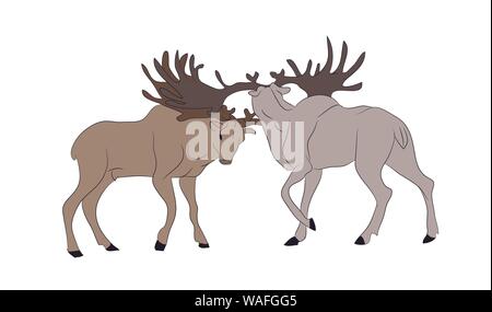 vector illustration of deer who fight, vector, color drawing, on white background Stock Vector