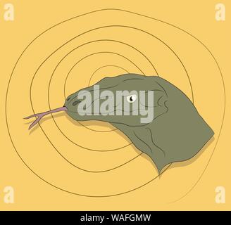 vector illustration lizard portrait, on a colored background, vector Stock Vector