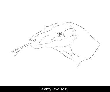 vector illustration portrait of a lizard, lines, vector, white background Stock Vector
