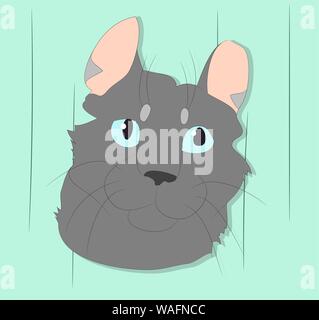 vector illustration of a portrait of a cat on a colored background, bright background, vector Stock Vector