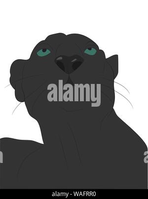 vector illustration of panther portrait, drawing color, vector, white background Stock Vector