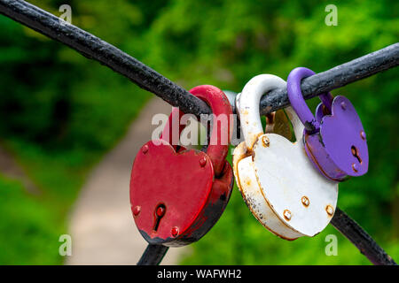 A family of locks - Dad, Mom and Children. Parents and Child. Couple in love. Three locks: purple, red and white, hang on a metal fence. The concept o Stock Photo