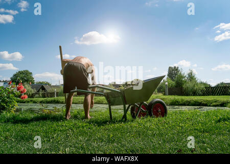 working with a wheelbarrow cleans the pond Stock Photo