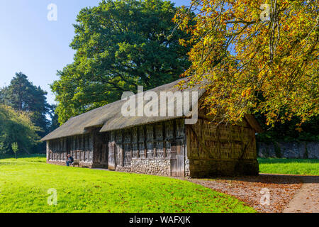 The thatched Stryd Lydan barn from c1550 at St Fagans National Museum of Welsh History, Cardiff, Wales, UK Stock Photo
