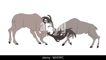 vector illustration of deer who fight, vector, color drawing, on white background Stock Vector