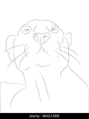 vector illustration of portrait panther, drawing by lines, vector, white background Stock Vector