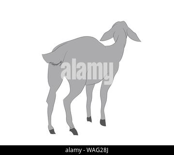 vector illustration of a goat that stands, drawing color, vector, white background Stock Vector