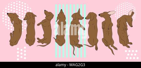 dog lies, dachshund brown, vector, bright background Stock Vector