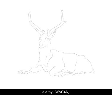 vector illustration of a deer who lies, drawing lines, vector, white background Stock Vector
