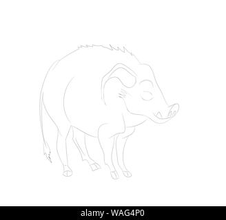 vector illustration of a boar who is standing, drawing lines, vector, white background Stock Vector