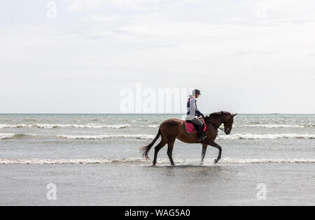 Harbour View, Cork, Ireland. 20th August, 2019. Ashleigh Hughes from Castlelack, Bandon out trotting with her horse, Breeze on the strand at Harbour View, Co. Cork, Ireland. Credit;  David Creedon / Alamy Live News Stock Photo