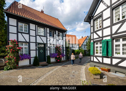 Old person, old person, Old Town lane, architecture, outside view, field recording, building, Blendladen, flower, floral decoration, town house, strol Stock Photo