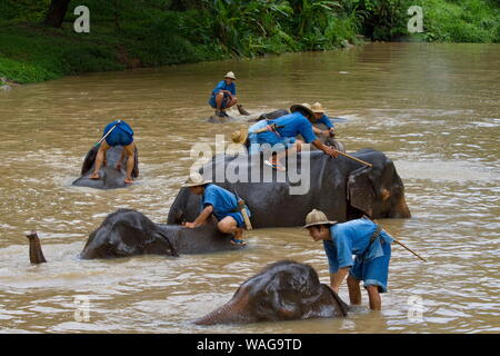 CHIANG MAI, THAILAND Stock Photo