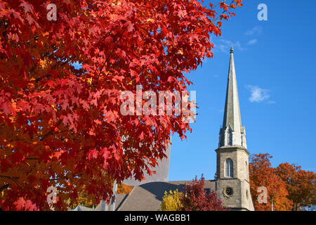 Westport, CT USA. Nov 2018. Scenic New England autumn colored trees among an Episcopal church steeple. Stock Photo