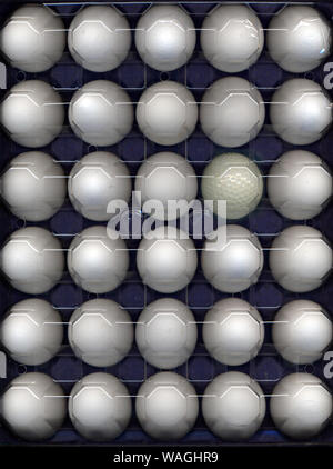 Golf ball concealed in egg crate Stock Photo