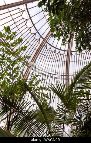 Inside the Palm House, greenhouse, by Charles Lanyon,in Royal Botanic Gardens, Kew, London Borough of Richmond upon Thames, England, UK, Stock Photo