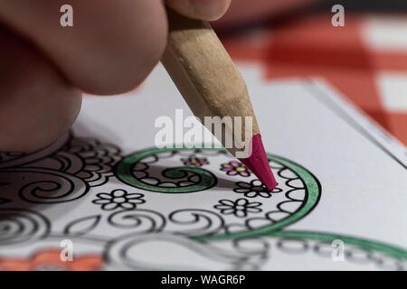 Close-up of someone coloring in a coloring book with a red pencil. An adult coloring in a coloring book for adults. Stock Photo