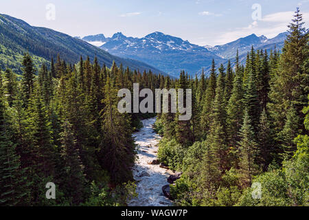 White Pass River running through the forest near Skagway Alaska with rugged snowy mountains in the background Stock Photo