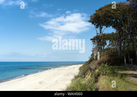 Panoramic View at Steep Coast, Nienhagen, Rostock, Mecklenburg-Vorpommern, Germany Stock Photo