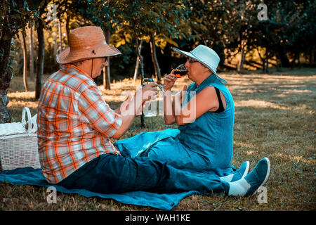 Senior couple drinking wine and having a great time together on a picnic in the park Stock Photo