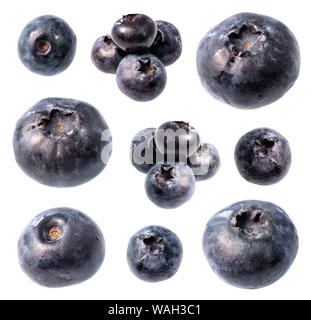set of fresh blueberry fruits cut out on white background Stock Photo