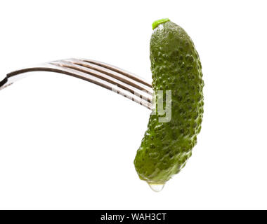 Pickled  cucumber sticking on a fork isolated on white Stock Photo