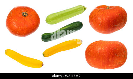 set of various fresh squashes cut out on white background Stock Photo