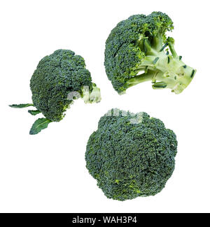 set of fresh broccoli heads cut out on white background Stock Photo