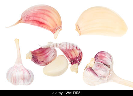 set of fresh garlic bulbs and cloves cut out on white background Stock Photo