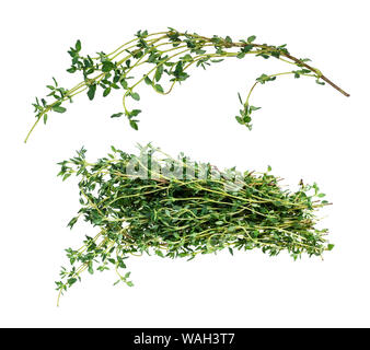 set of fresh thyme bundle and twig cut out on white background Stock Photo