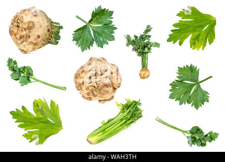 set of fresh celeriac and celery vegetable cut out on white background Stock Photo