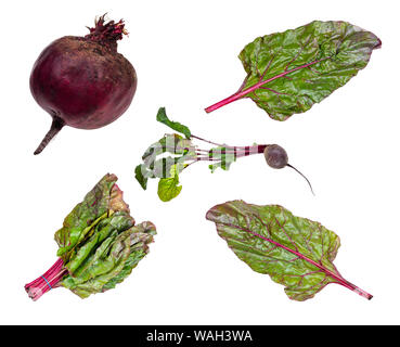 set of fresh beet vegetables cut out on white background Stock Photo