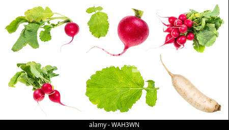 set of fresh radish cut out on white background Stock Photo