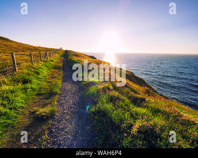 summer sunset giants causeway coastline,Northern Ireland Stock Photo