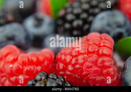 Mix of juicy berries: Raspberry, Blueberry and Blackberry with tiny green leaves. Macro photo with the main focus on the raspberries. Stock Photo