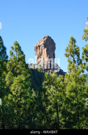 The Roque Nublo is a volcanic rock on Canary Islands, Spain. It is 67 m (220 ft) tall, and its top is 1,813 m (5,948 ft) above sea level Stock Photo