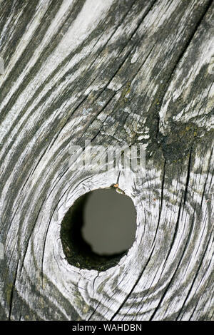 Hole in wood macro fifty megapixels modern texture home decoration digital posters beautiful graphic abstract art smooth colorful design Stock Photo