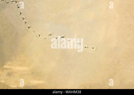 top aerial view of footsteps footprints on sand dunes in the desert Stock Photo