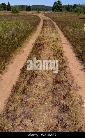 Long dirt path through a field towards forest in a field. Stock Photo