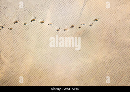 top aerial view of footsteps footprints on sand dunes in the desert Stock Photo