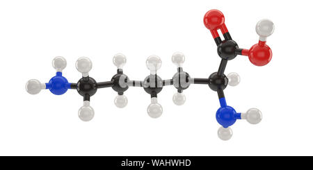 Lysine molecule structure 3d illustration with clipping path Stock Photo