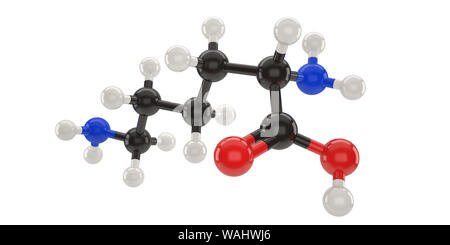 Lysine molecule structure 3d illustration with clipping path Stock Photo