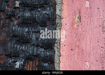 Burnt wood and cement wall. Stock Photo