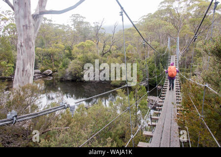 Australia, Tasmania, Cradle Mountain-Lake St Clair National Park. Overland Track. Hiker crosses suspension bridge over Narcissus River. (MR) Stock Photo