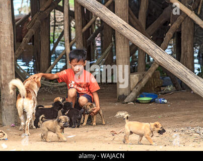 Kompong Pluk (Phluk), Cambodia. Boy with his dog and puppies. This is a cluster of three villages made of stilt houses within the floodplain of the Tonle Sap River. (Editorial Use Only) Stock Photo