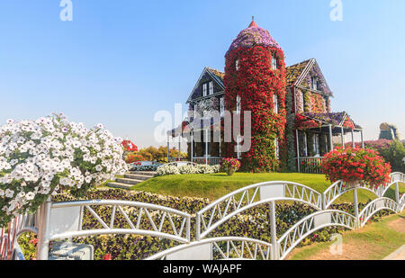Dubai, UAE. House covered in flowers at Dubais Miracle Garden, largest natural flower garden in the world. (Editorial Use Only) Stock Photo